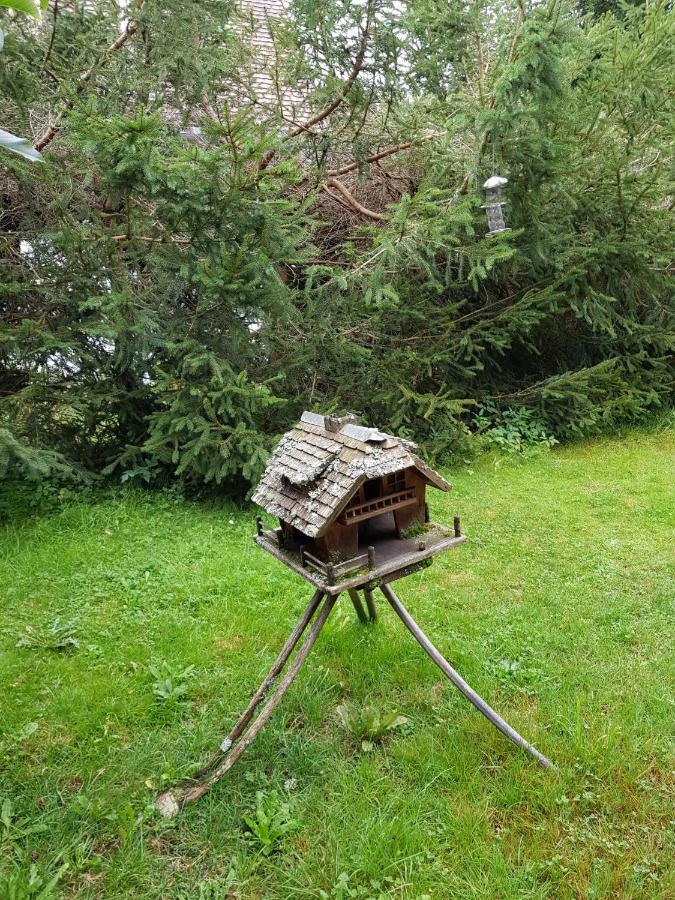 Pension Gebele Schluchsee Buitenkant foto